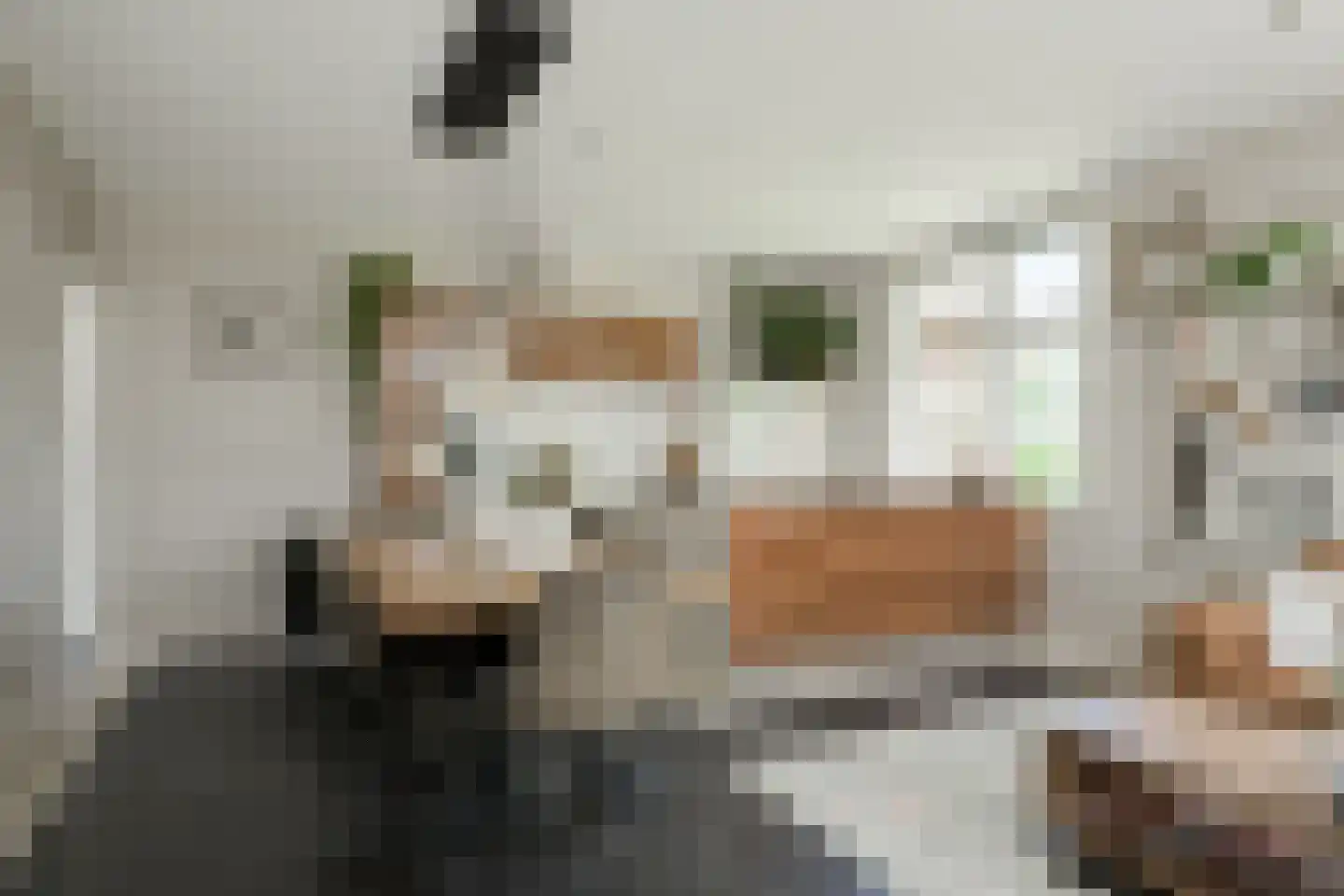 Lindeboomweg 26 Harreveld thumbnail 14