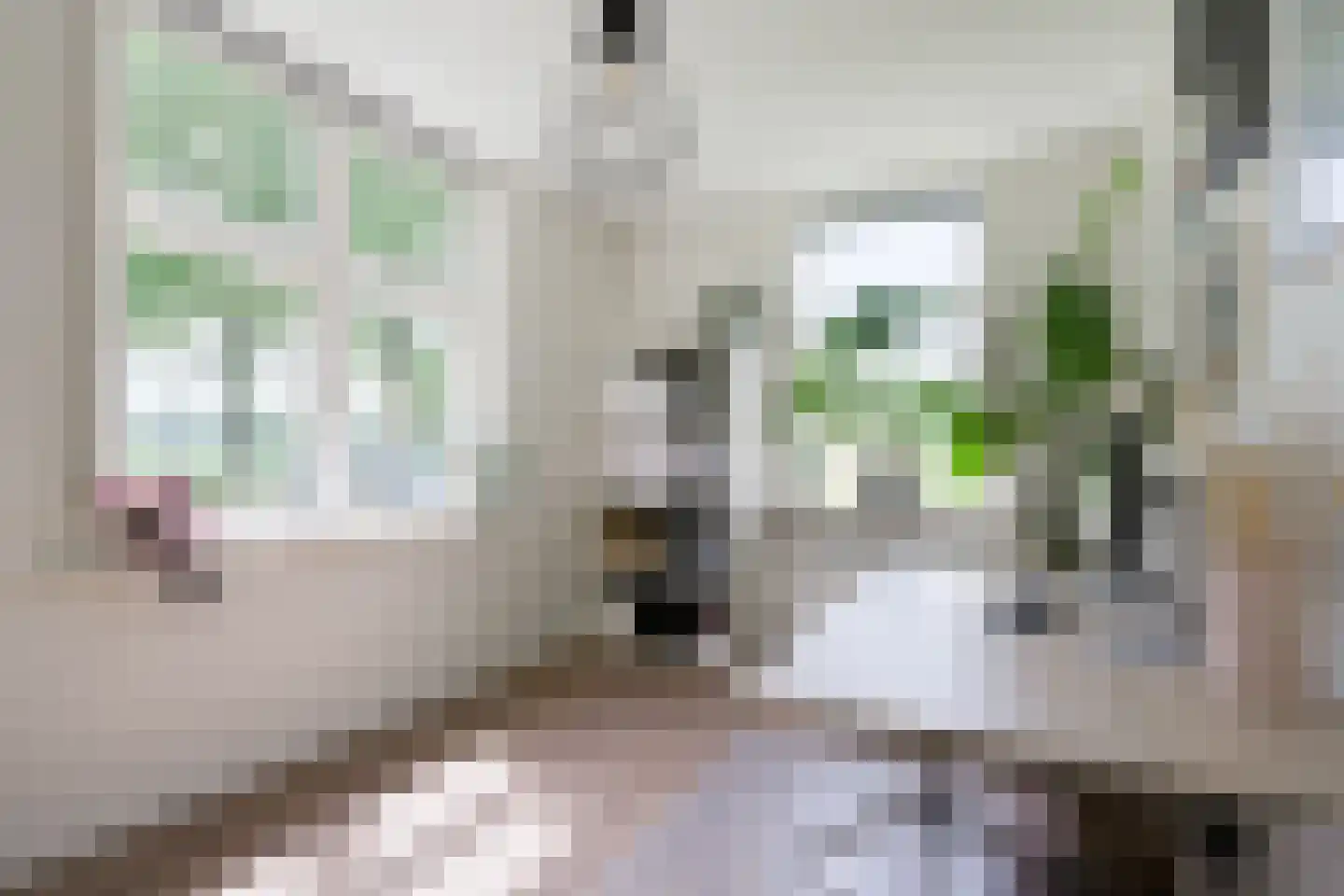 Lindeboomweg 26 Harreveld thumbnail 18