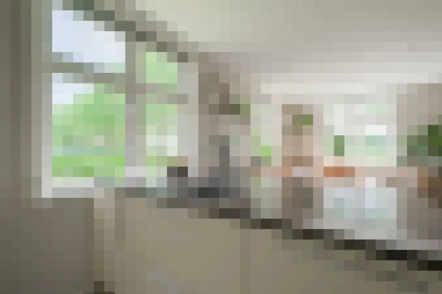 Lindeboomweg 26 Harreveld thumbnail 22