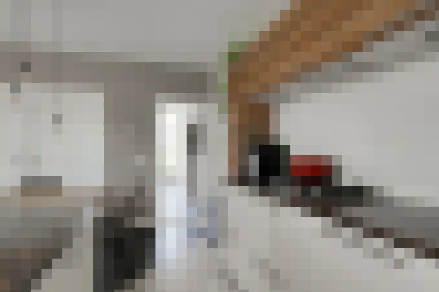 Lindeboomweg 26 Harreveld thumbnail 23