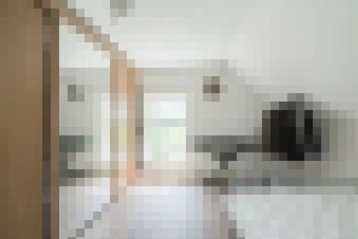 Lindeboomweg 26 Harreveld thumbnail 26