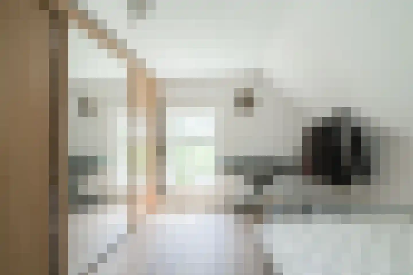 Lindeboomweg 26 Harreveld thumbnail 26