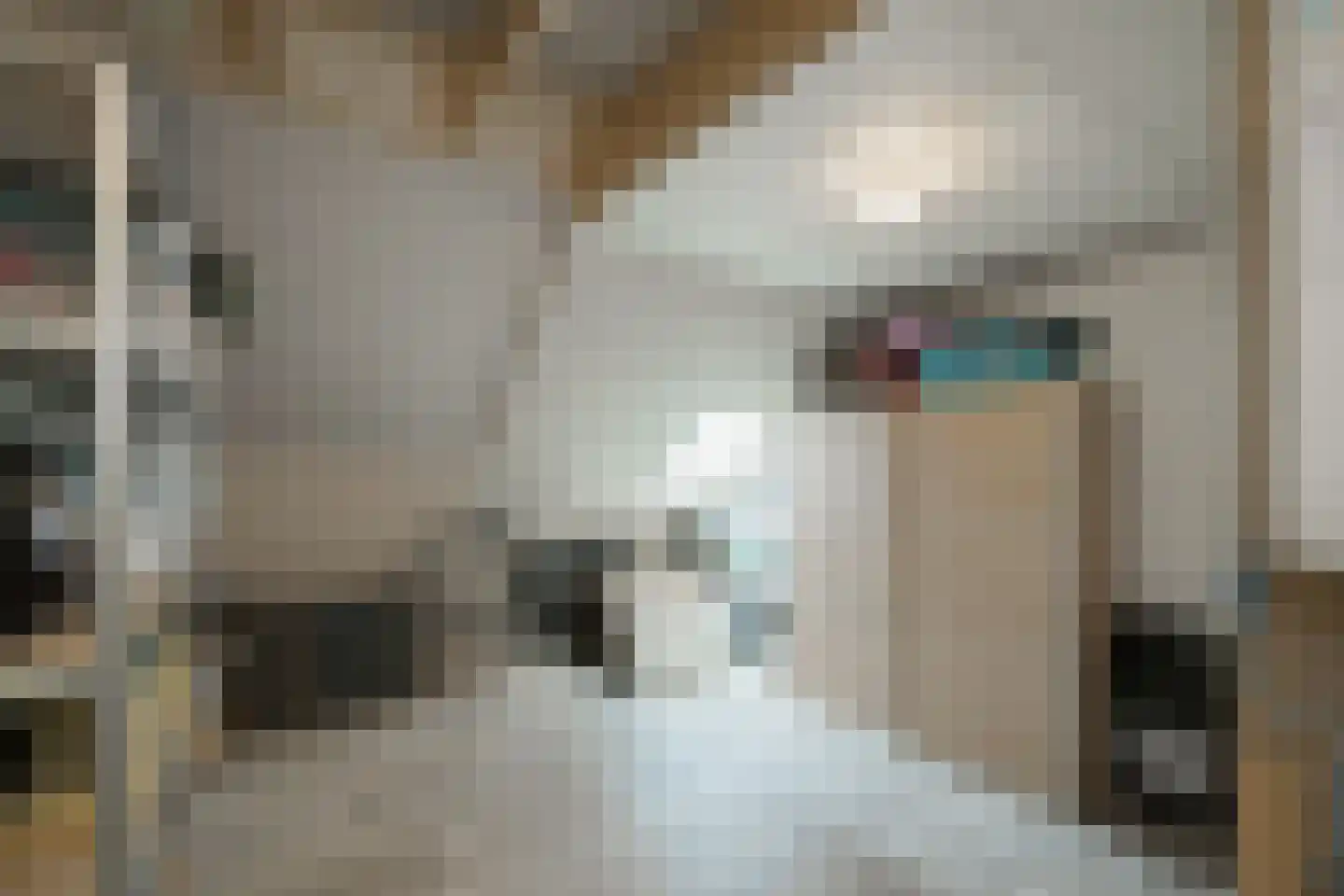 Lindeboomweg 26 Harreveld thumbnail 30