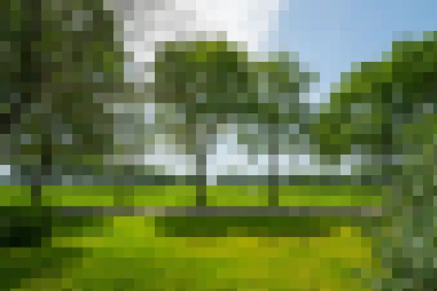 Lindeboomweg 26 Harreveld thumbnail 40
