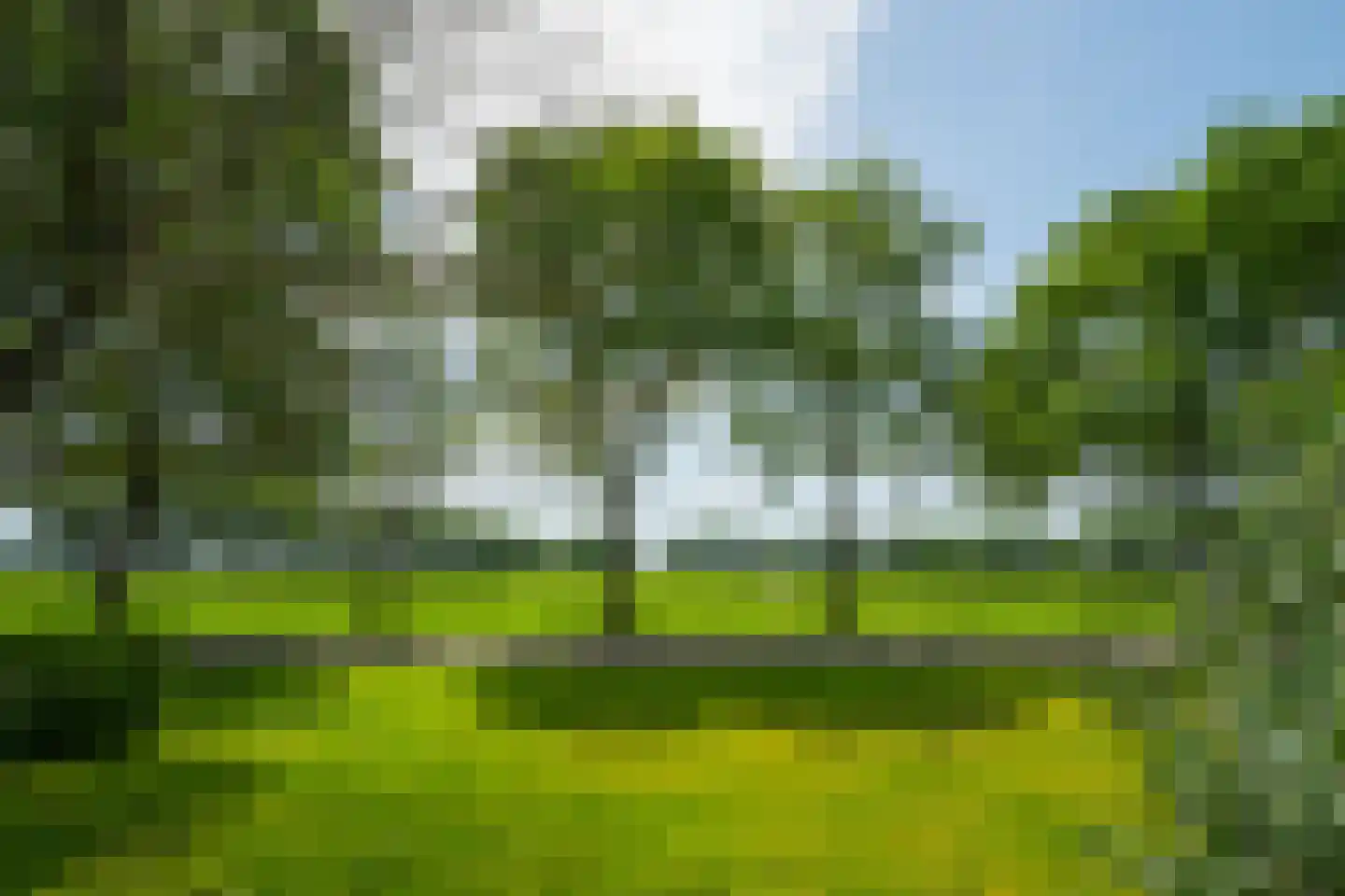 Lindeboomweg 26 Harreveld thumbnail 40
