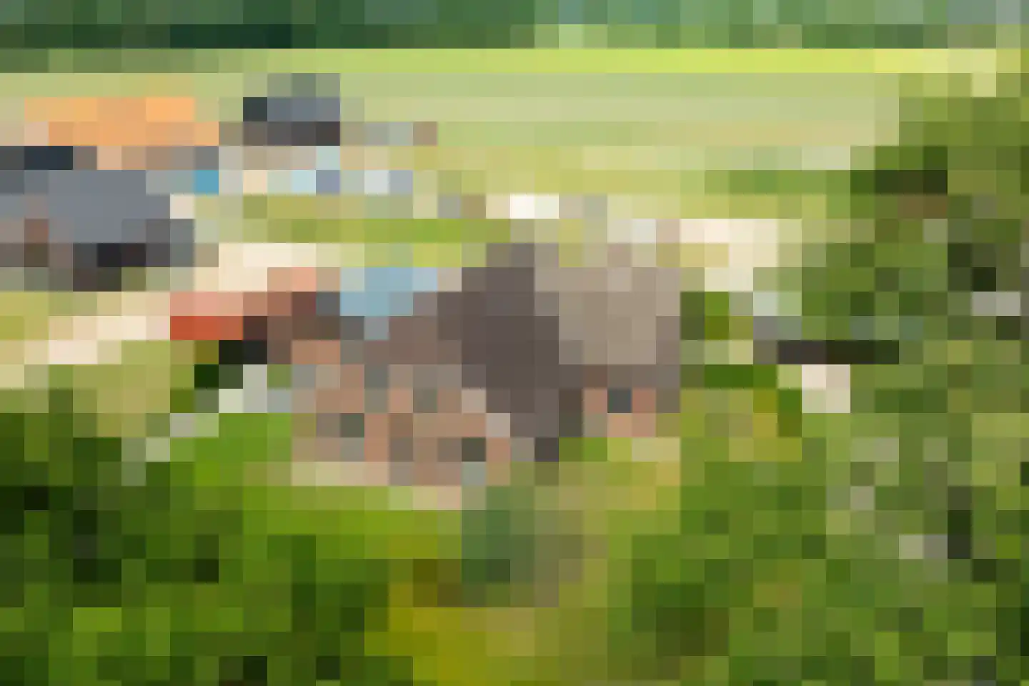 Lindeboomweg 26 Harreveld thumbnail 43