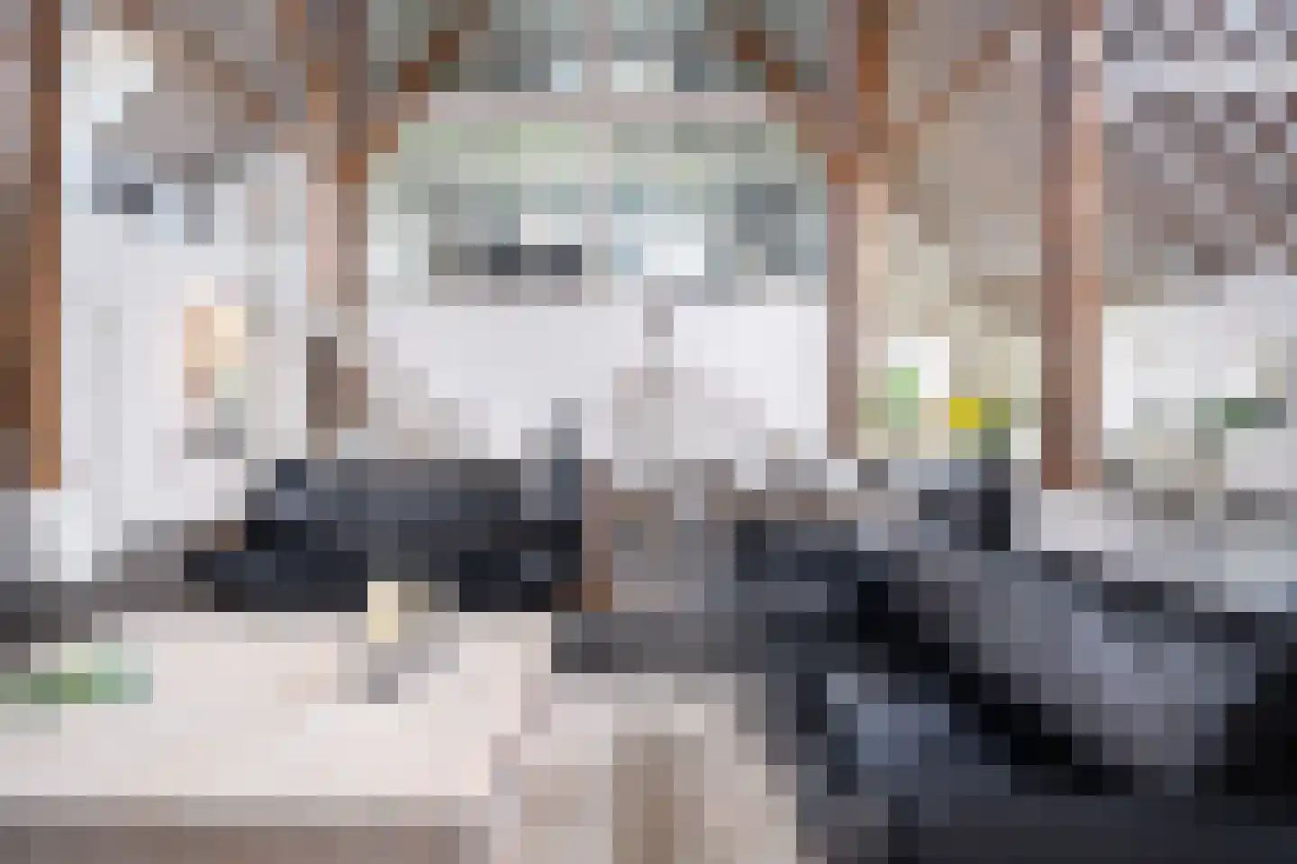 Lindedijk 7 Nijetrijne thumbnail 10