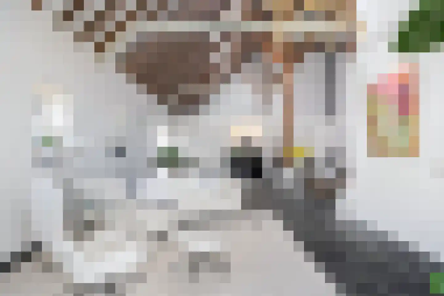 Lindedijk 7 Nijetrijne thumbnail 12