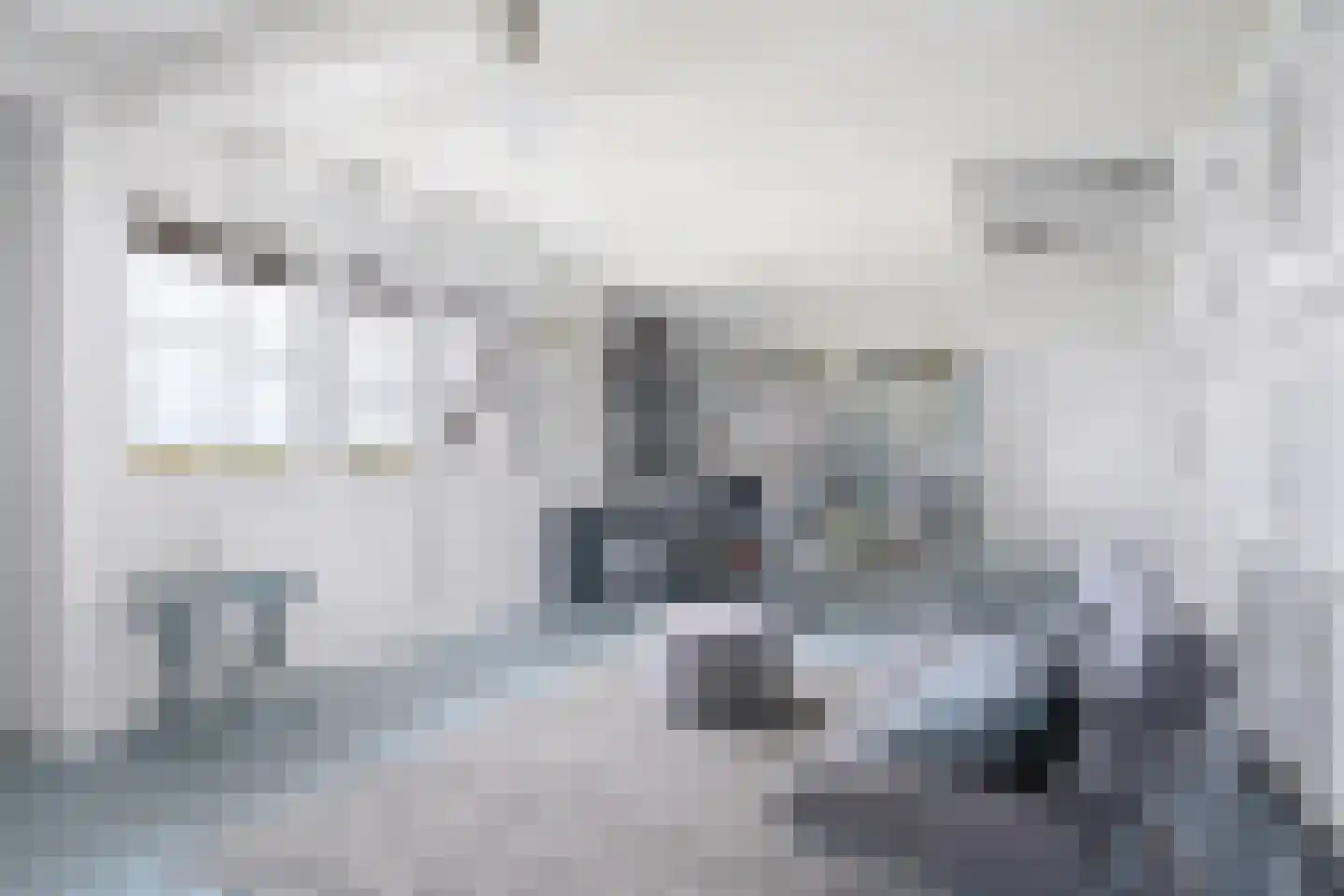 Lindedijk 7 Nijetrijne thumbnail 25