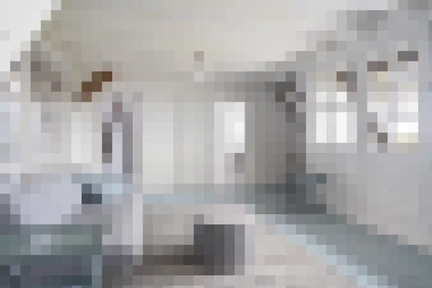 Lindedijk 7 Nijetrijne thumbnail 26
