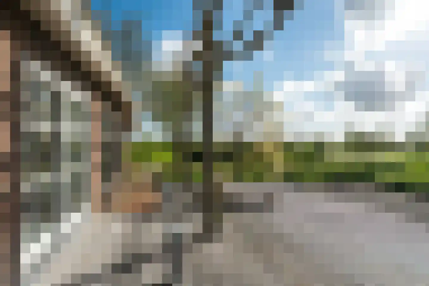 Lindedijk 7 Nijetrijne thumbnail 40