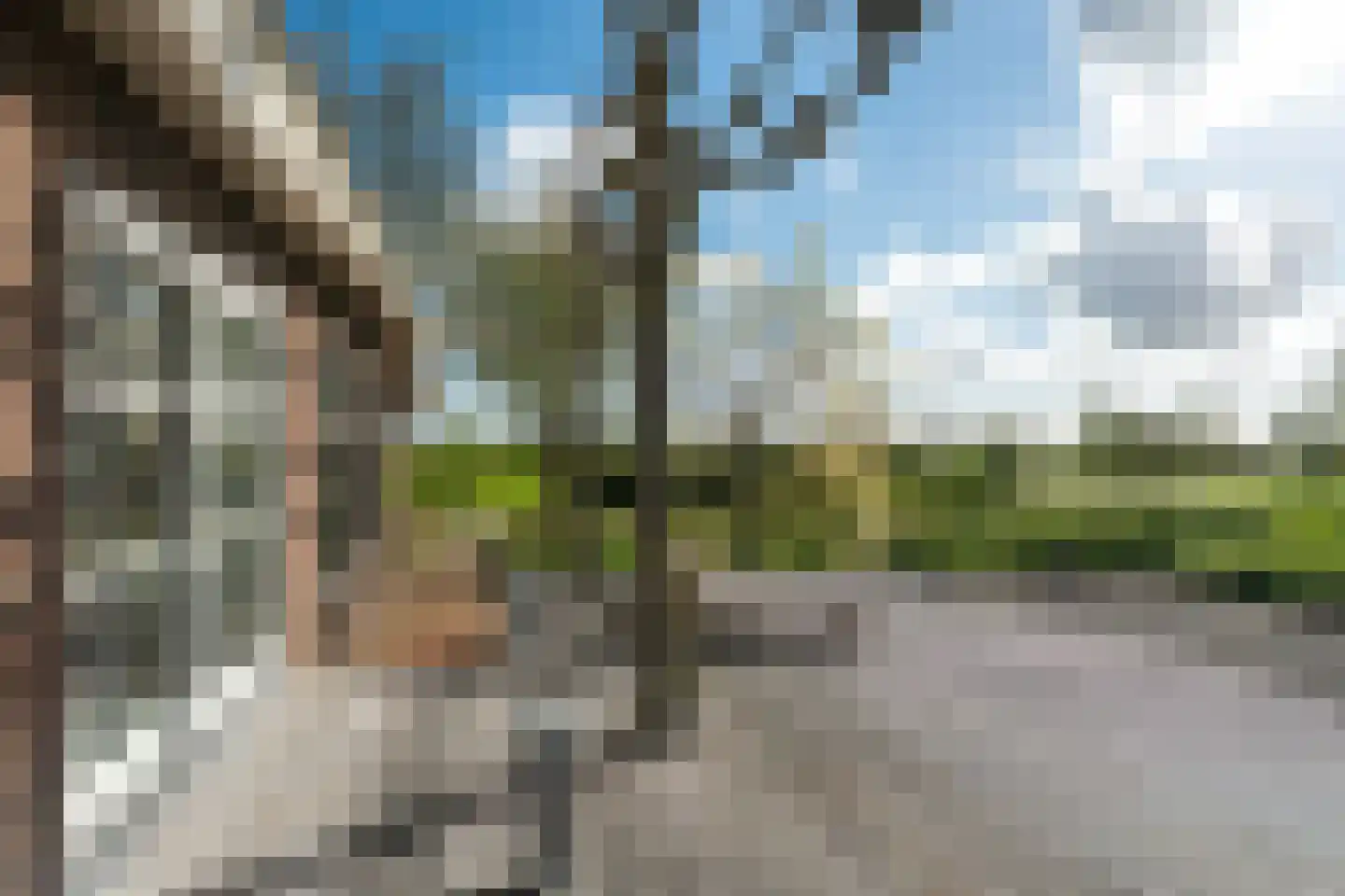 Lindedijk 7 Nijetrijne thumbnail 40