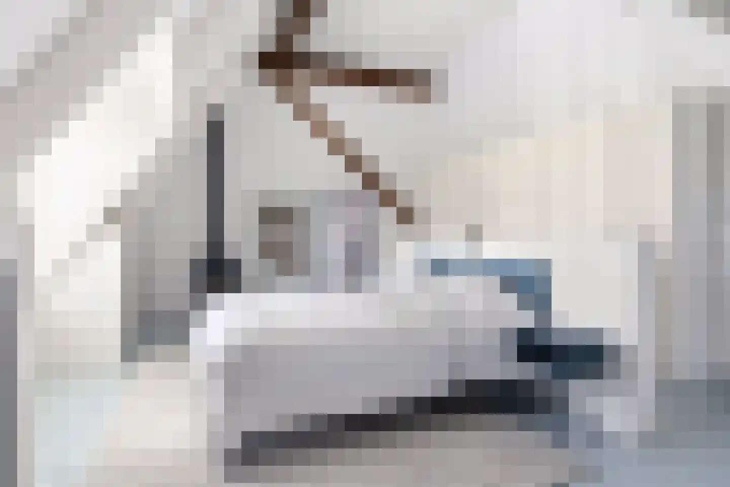 Lindedijk 7 Nijetrijne thumbnail 44