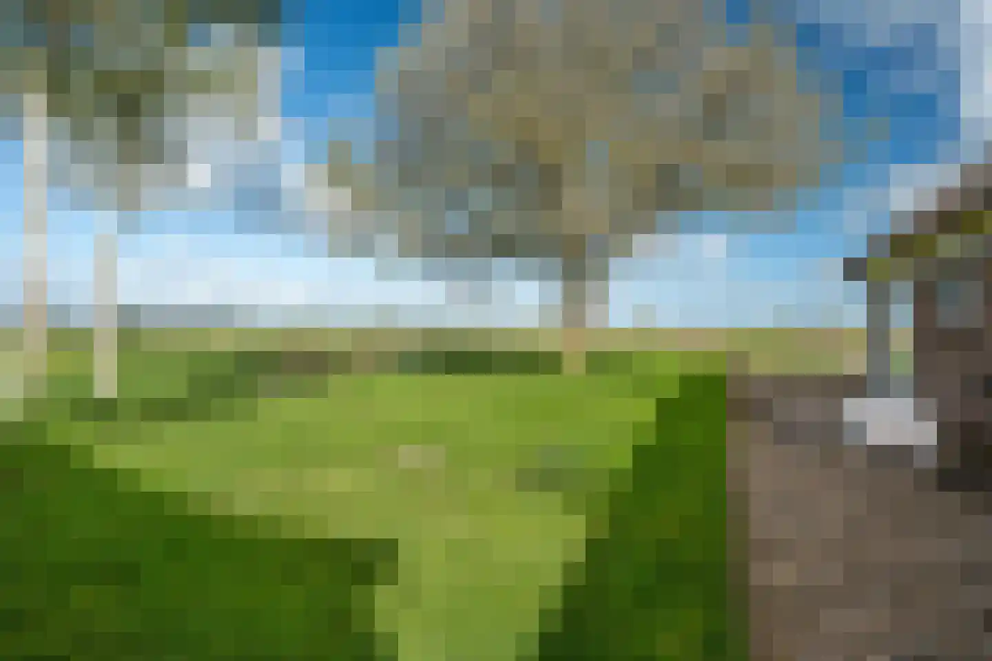 Lindedijk 7 Nijetrijne thumbnail 53