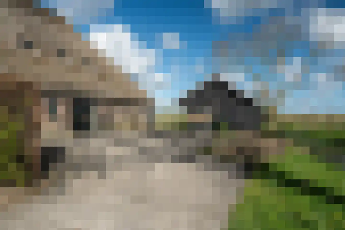 Lindedijk 7 Nijetrijne thumbnail 55