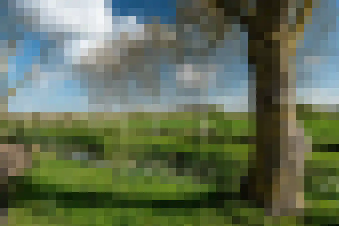 Lindedijk 7 Nijetrijne thumbnail 57