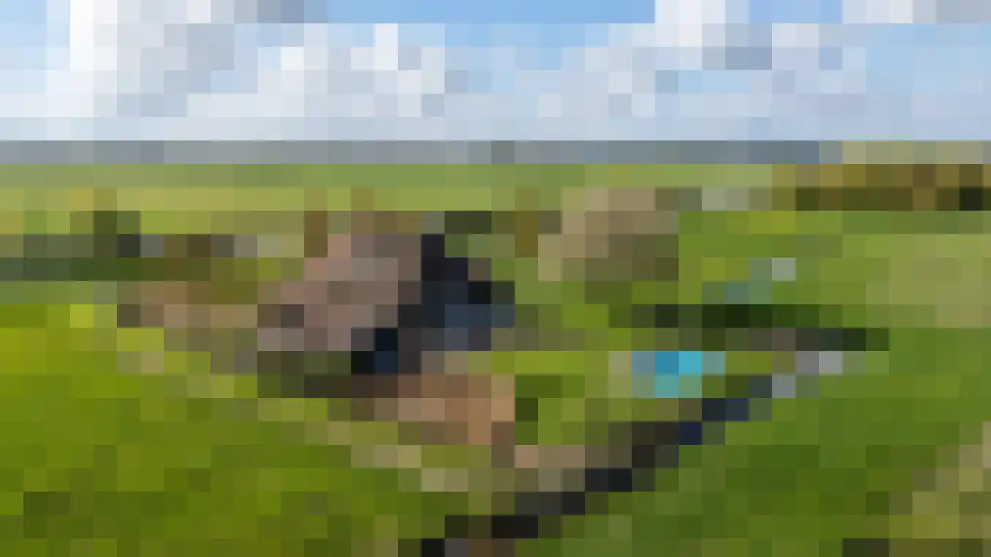 Lindedijk 7 Nijetrijne thumbnail 59