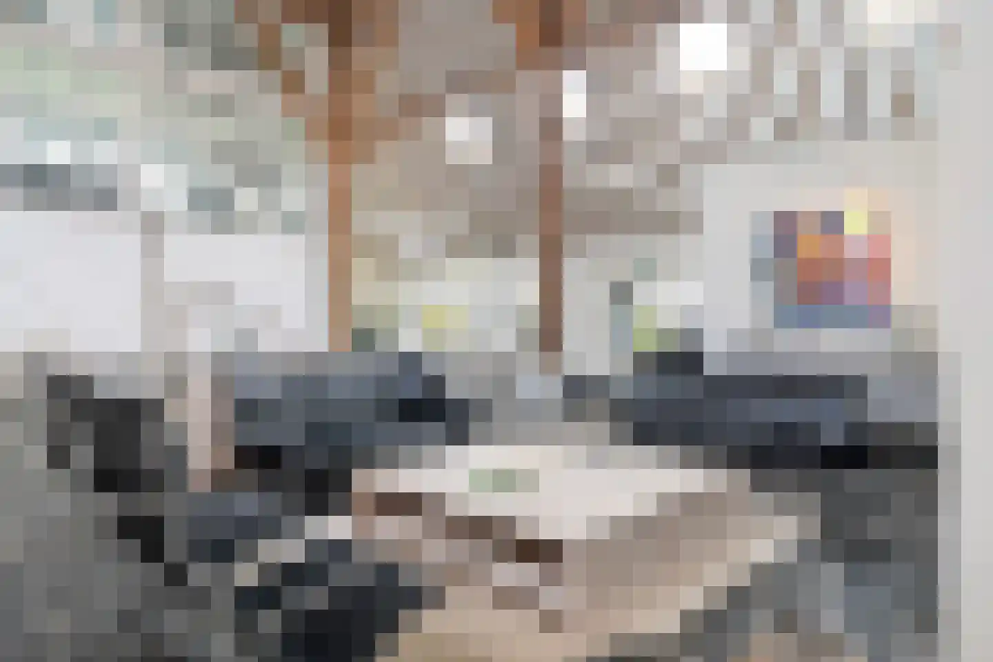 Lindedijk 7 Nijetrijne thumbnail 6