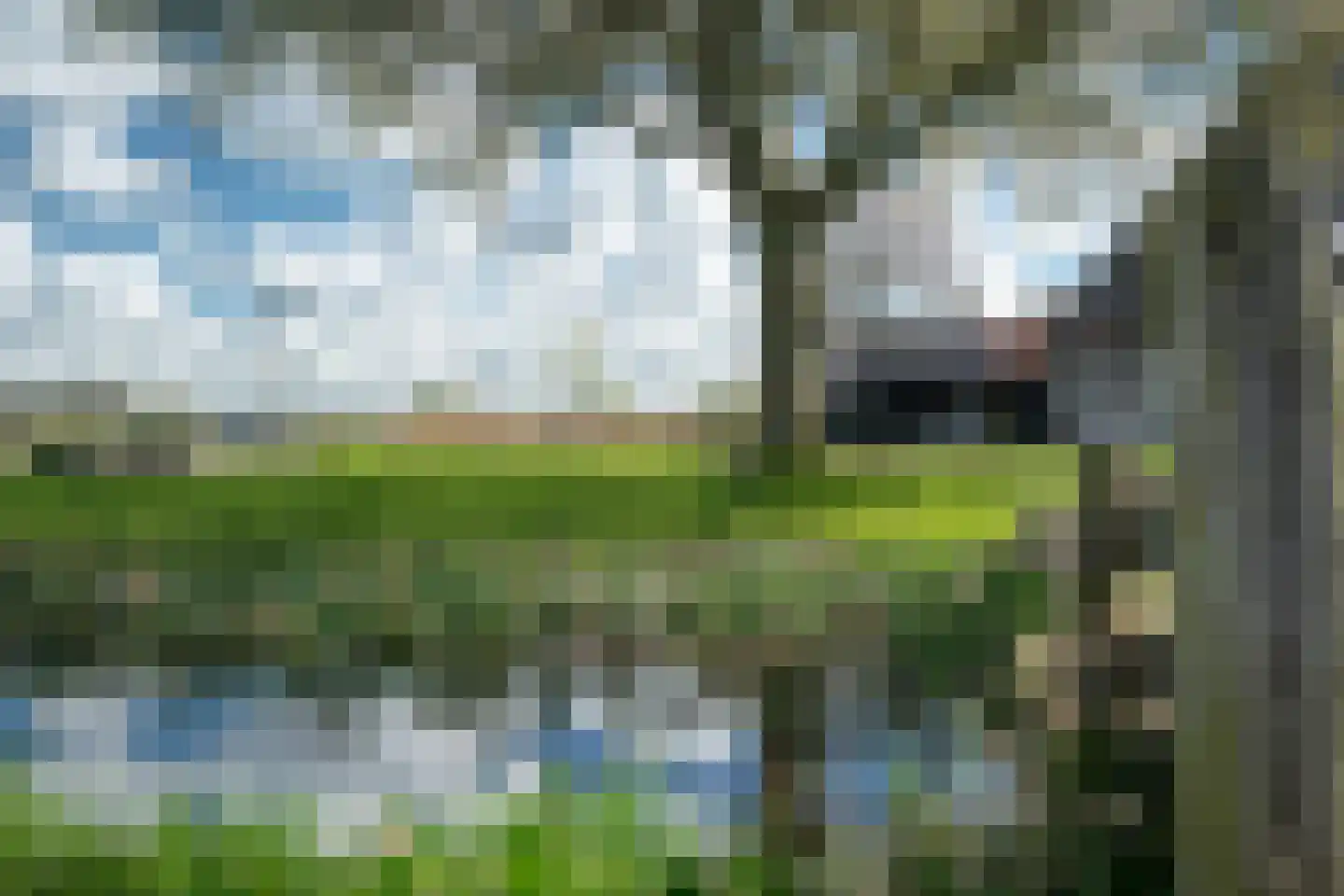 Lindedijk 7 Nijetrijne thumbnail 60