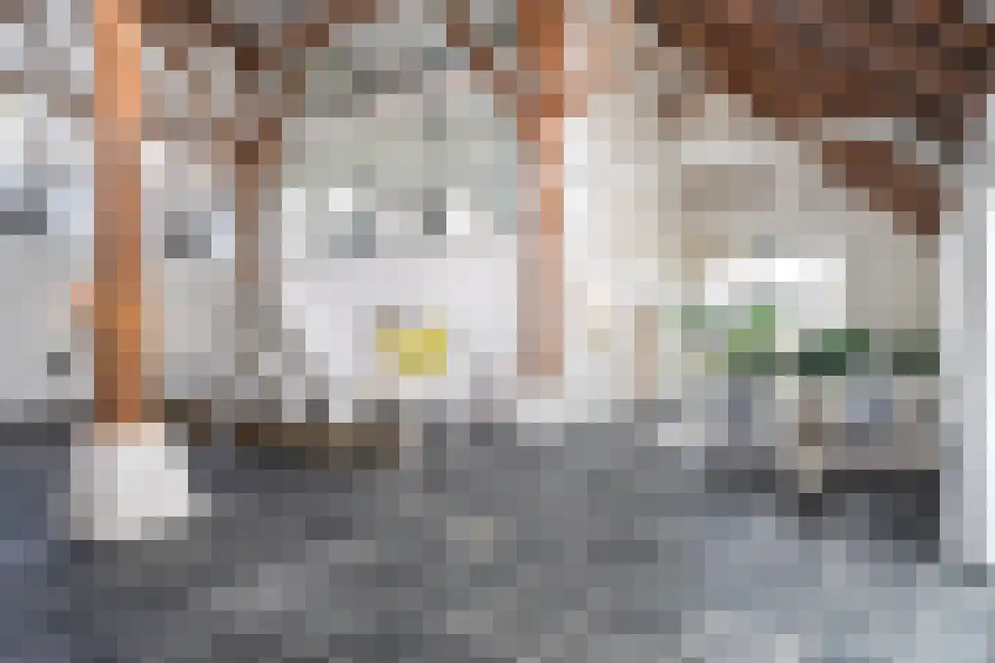 Lindedijk 7 Nijetrijne thumbnail 7