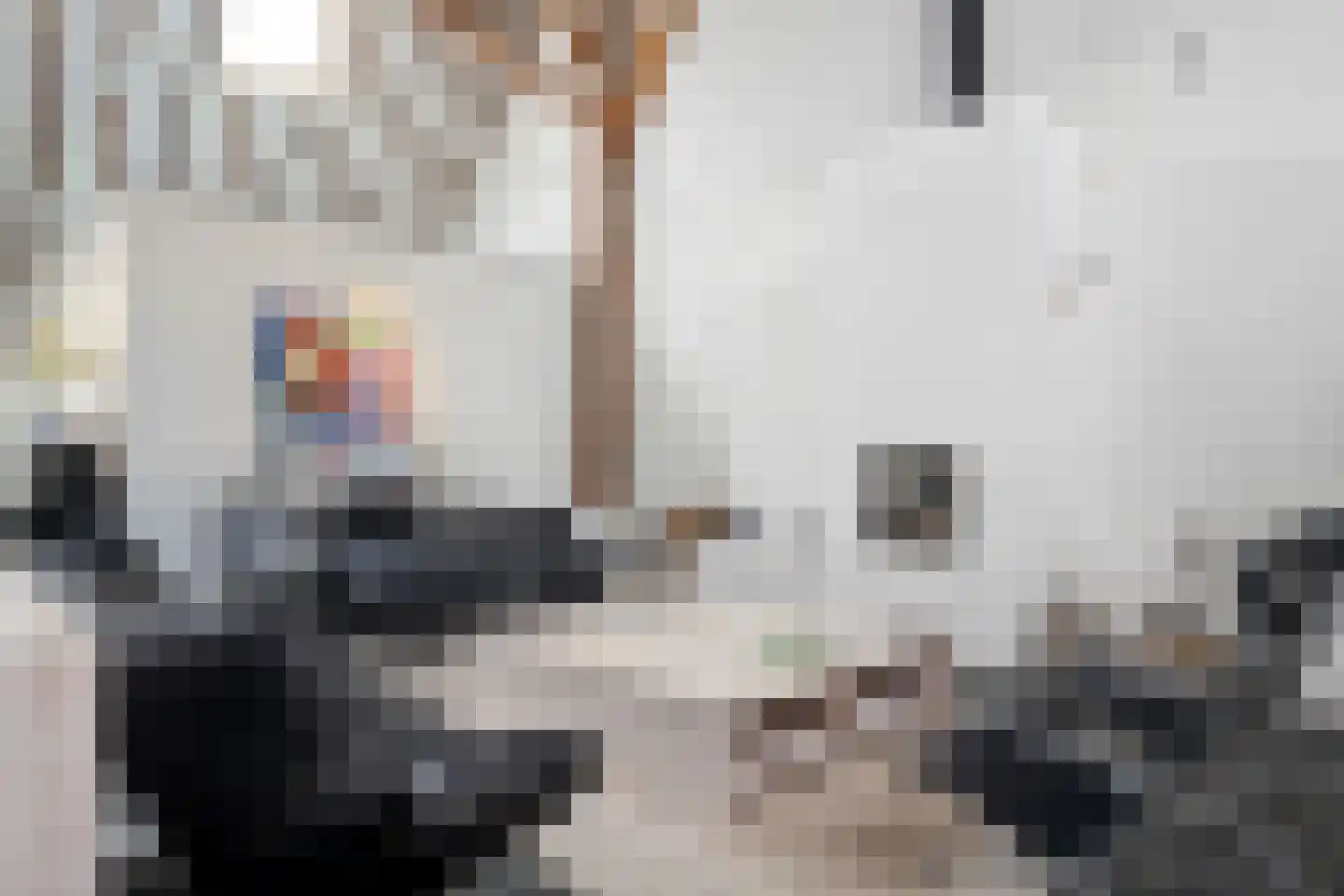 Lindedijk 7 Nijetrijne thumbnail 8