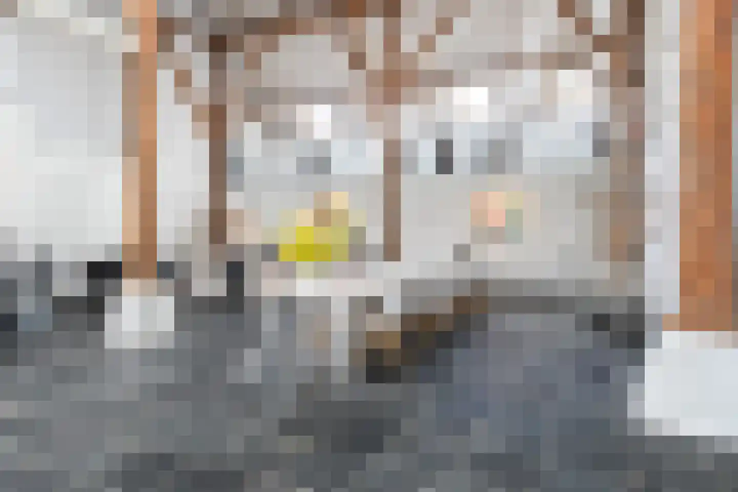 Lindedijk 7 Nijetrijne thumbnail 9