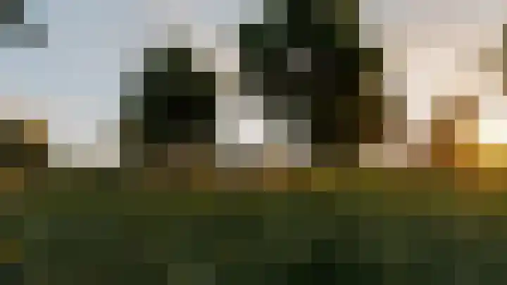 Lindehagen 36 Urmond thumbnail 6