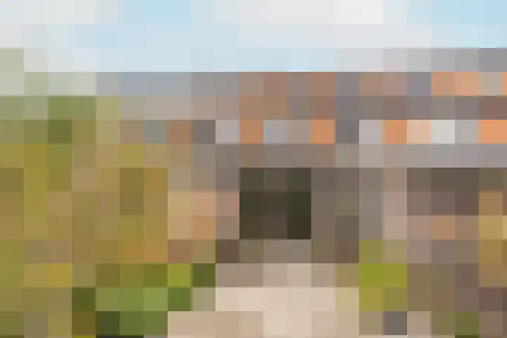 Lindehoeve 13 Vleuten thumbnail 10