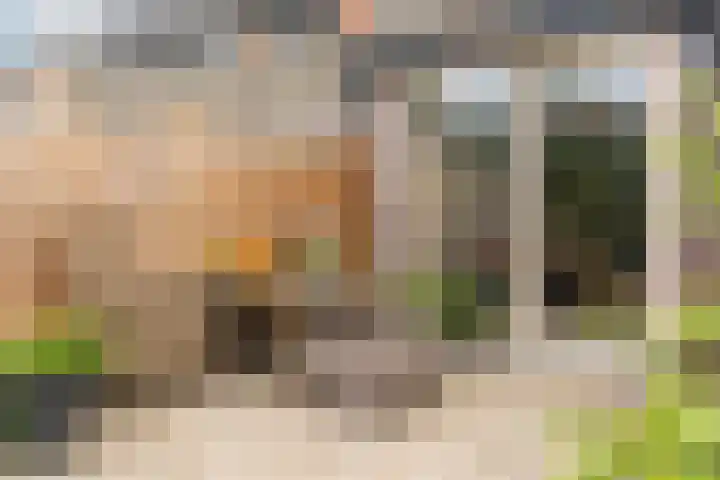 Lindehoeve 13 Vleuten thumbnail 11