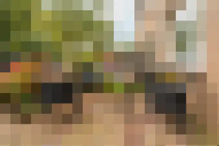 Lindehoeve 13 Vleuten thumbnail 17