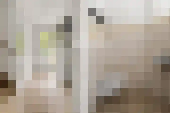 Lindehoeve 13 Vleuten thumbnail 19