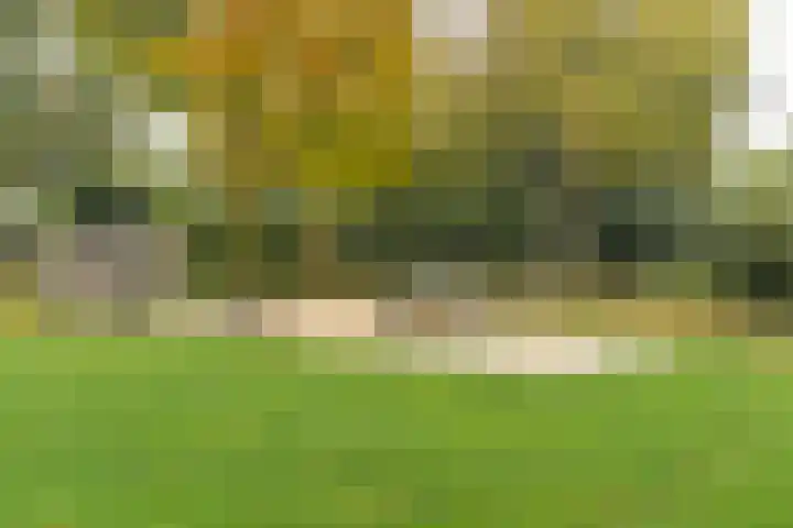 Lindehoeve 13 Vleuten thumbnail 28