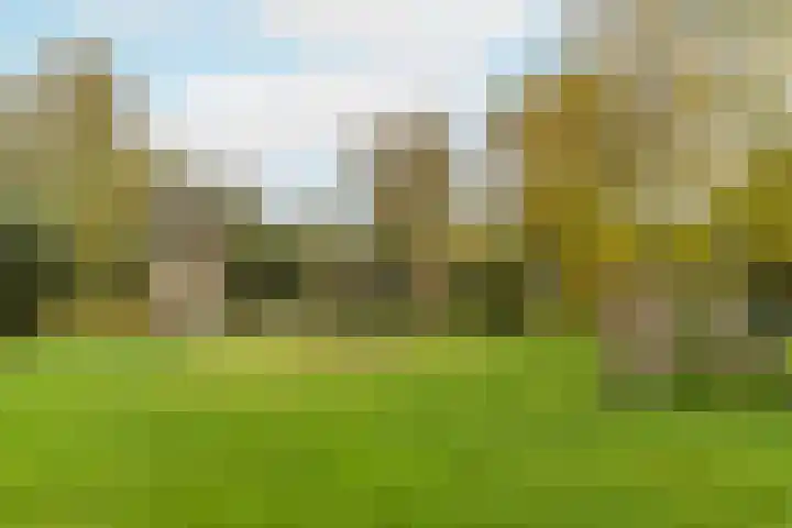 Lindehoeve 13 Vleuten thumbnail 29