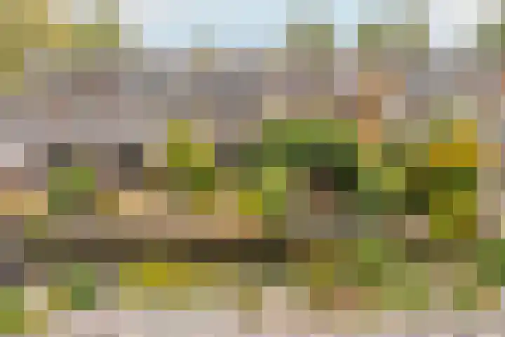 Lindehoeve 13 Vleuten thumbnail 4