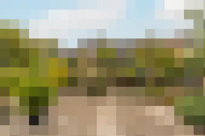 Lindehoeve 13 Vleuten thumbnail 8