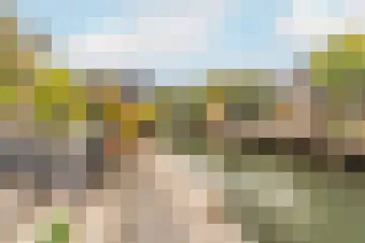 Lindehoeve 13 Vleuten thumbnail 9