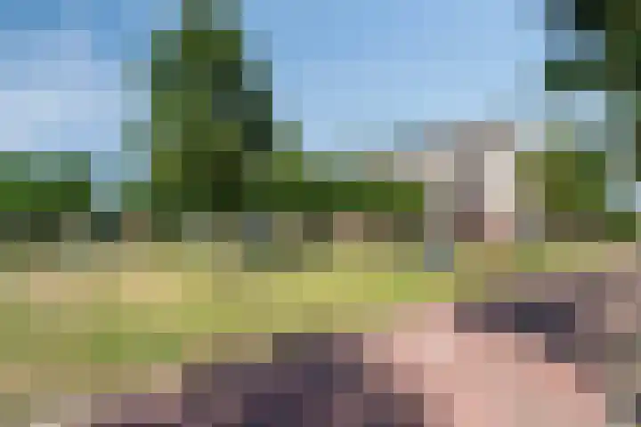 Lindehof 116 's-Gravendeel thumbnail 10