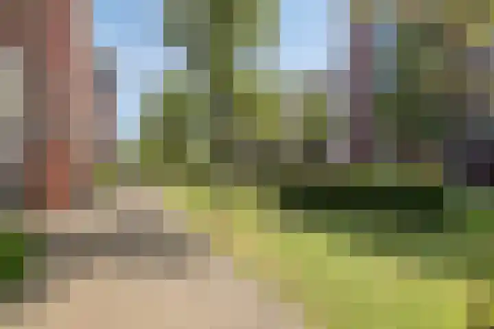 Lindehof 116 's-Gravendeel thumbnail 14