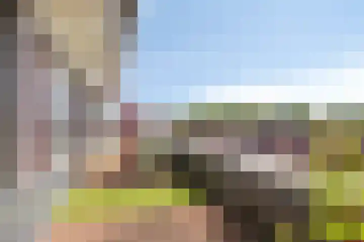 Lindehof 116 's-Gravendeel thumbnail 20