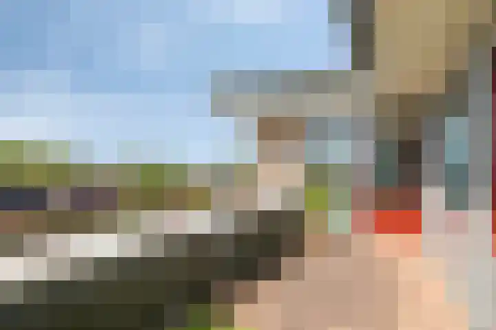Lindehof 116 's-Gravendeel thumbnail 21