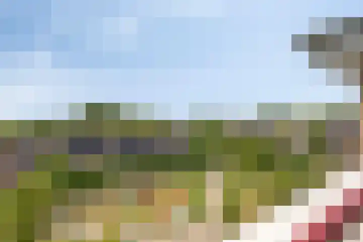 Lindehof 116 's-Gravendeel thumbnail 22