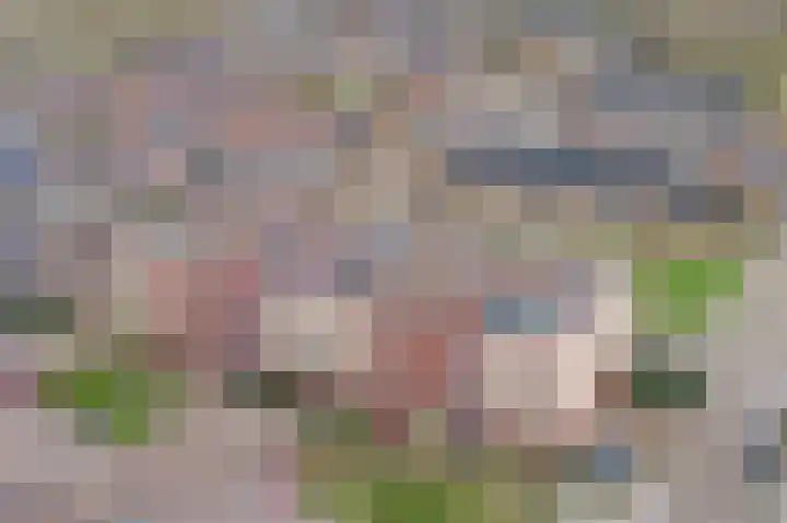 Lindehof 116 's-Gravendeel thumbnail 4