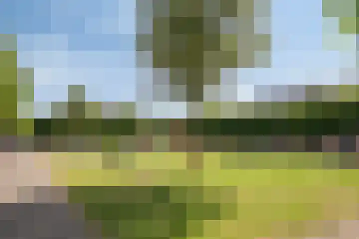 Lindehof 116 's-Gravendeel thumbnail 9