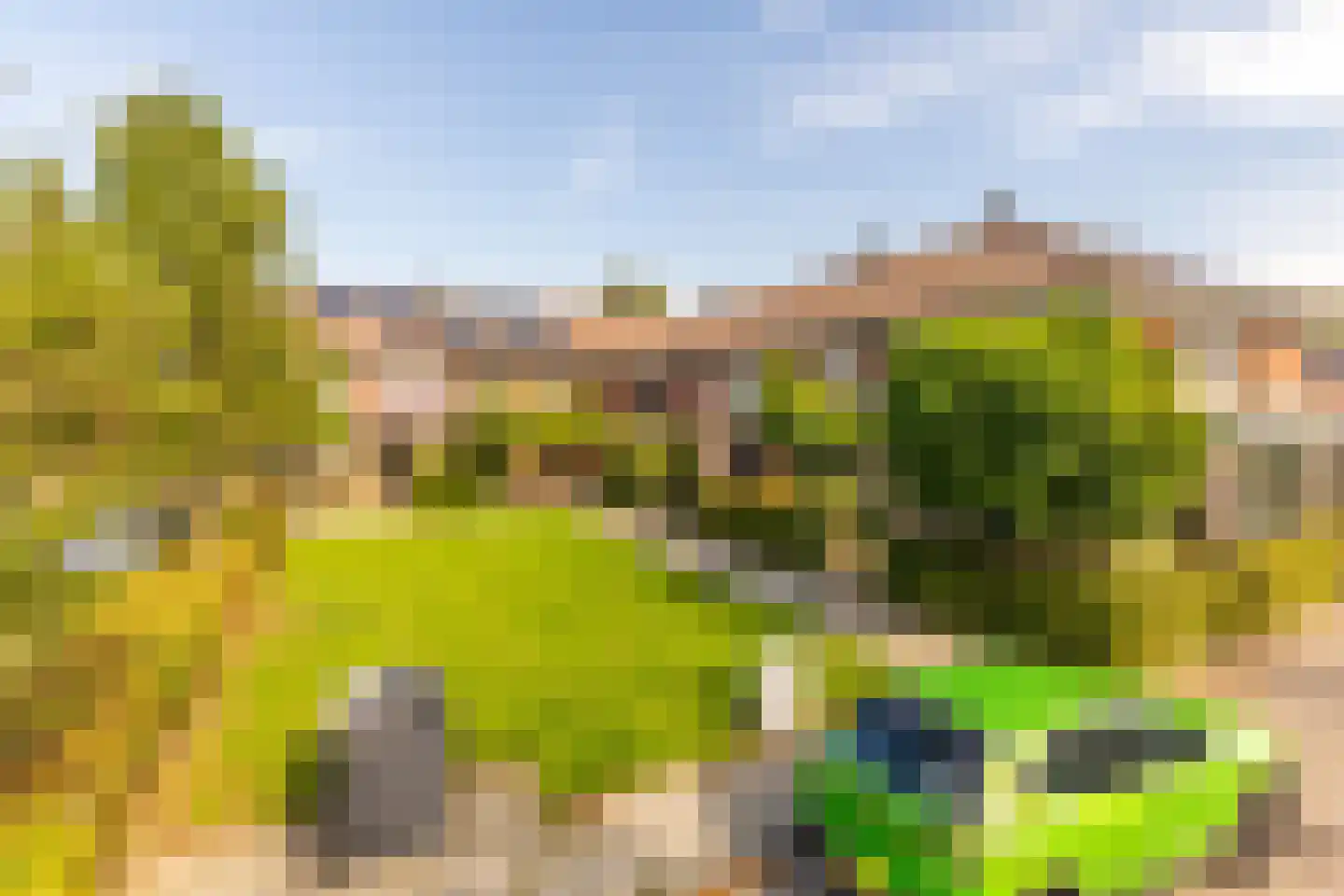 Lindehof 156 's-Gravendeel thumbnail 22
