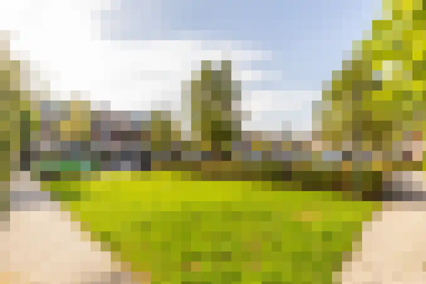 Lindehof 156 's-Gravendeel thumbnail 23