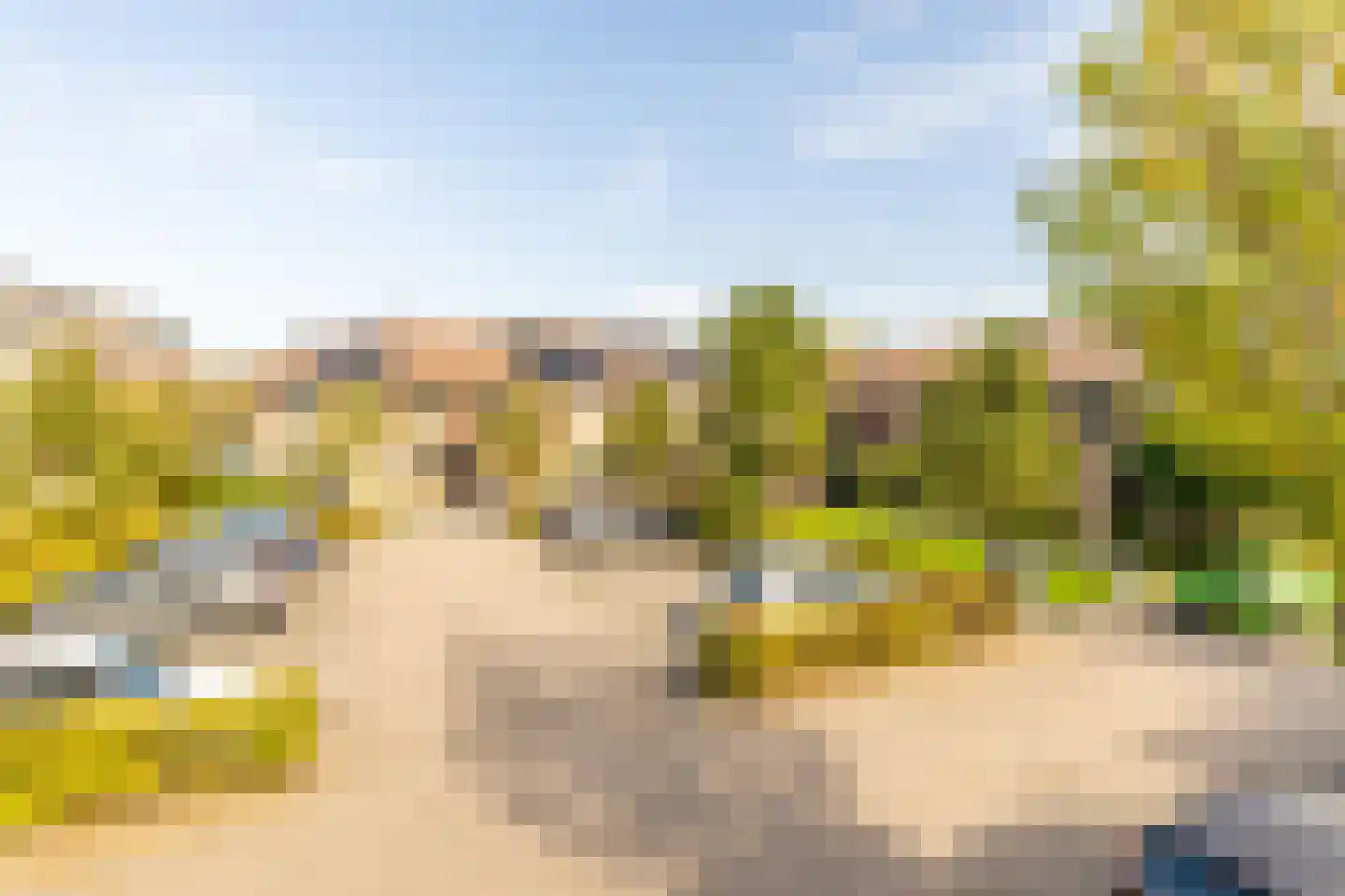 Lindehof 156 's-Gravendeel thumbnail 26
