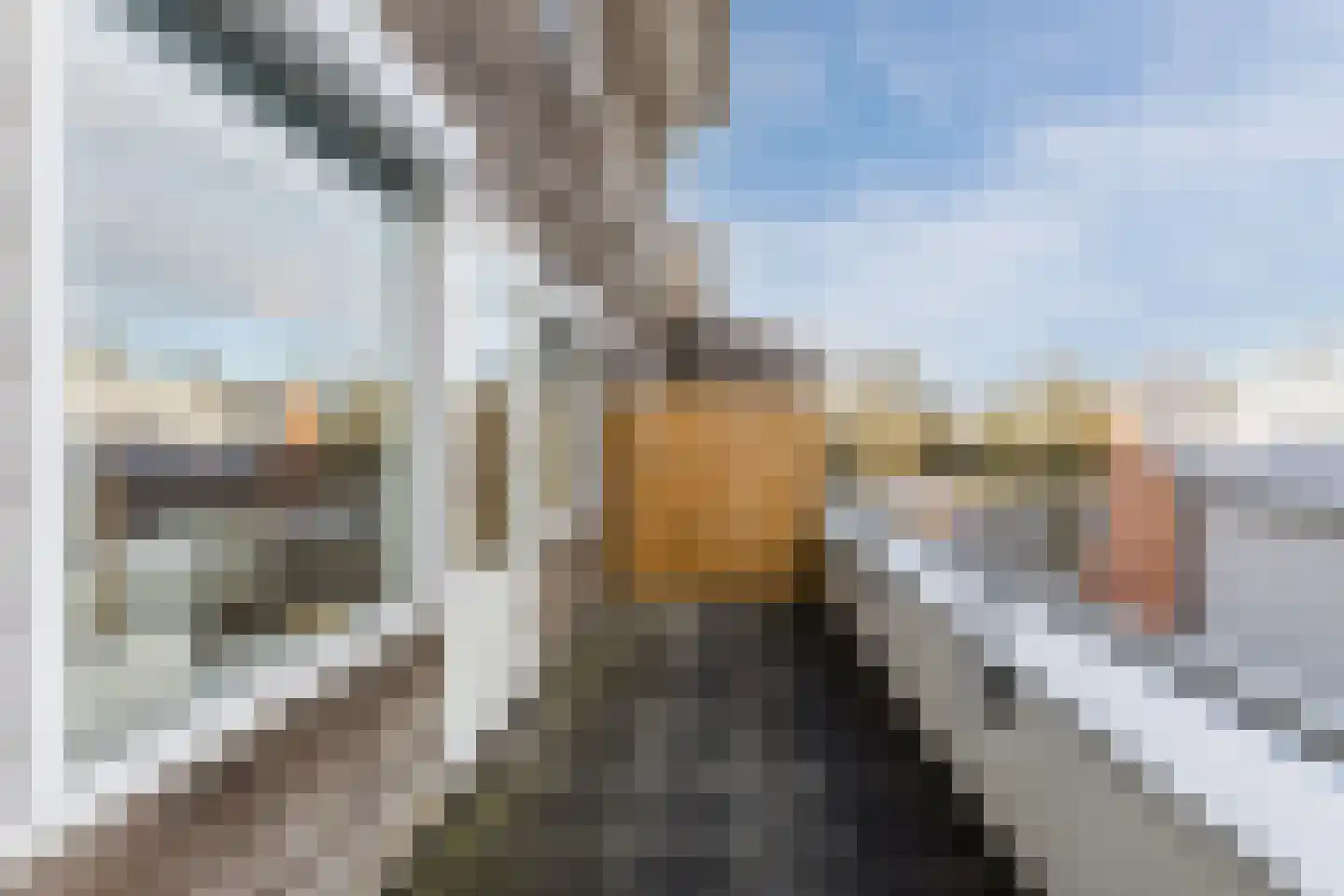 Lindehof 23 Bodegraven thumbnail 36