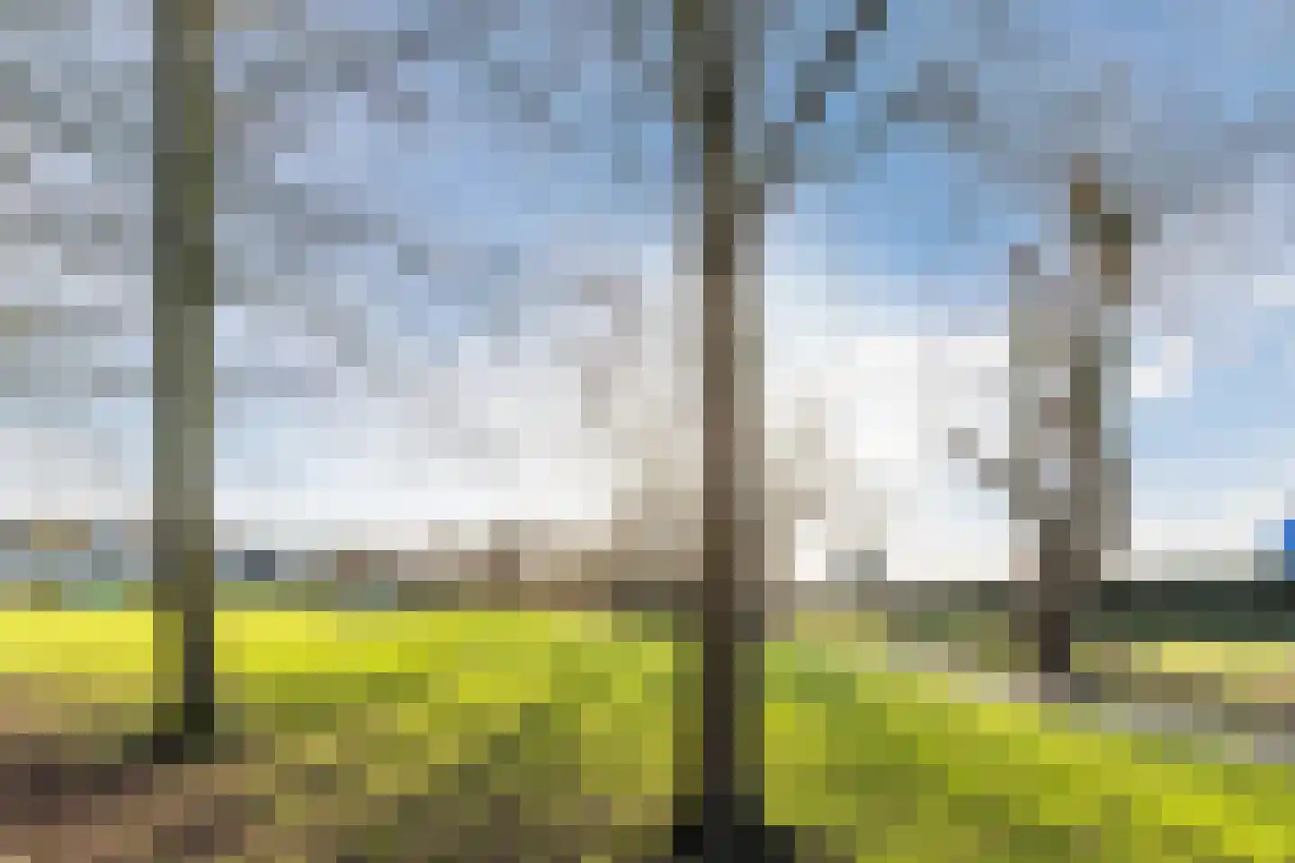 Lindehof 23 Bodegraven thumbnail 57