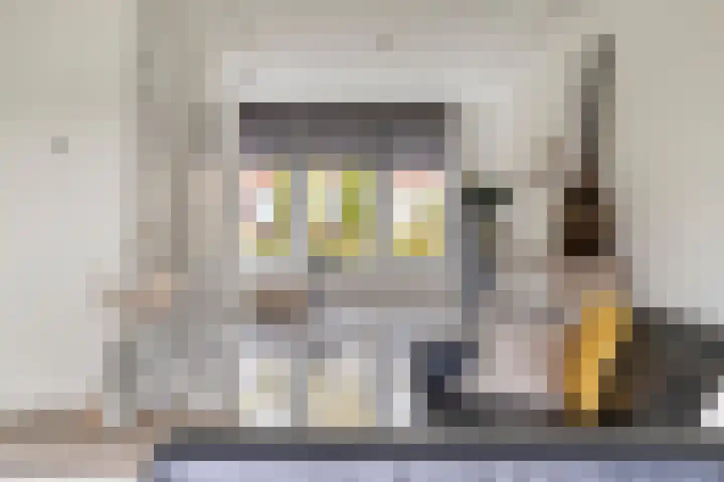 Lindehof 28 Helmond thumbnail 19