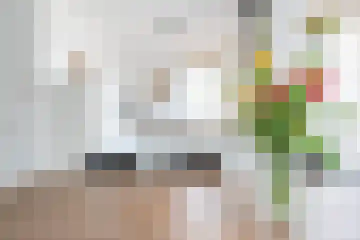 Lindehof 30 Helmond thumbnail 15